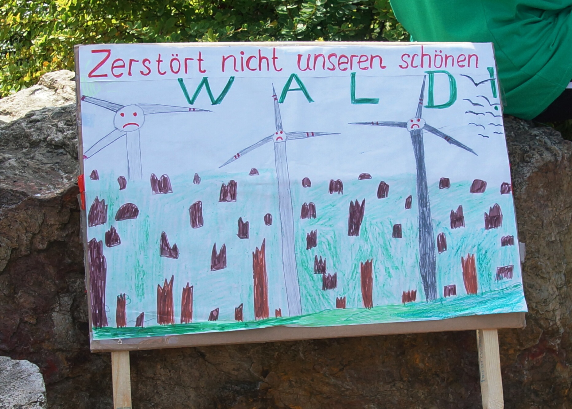 Stephanshausen DEMO Windwahn-20140719DSC08244.jpg